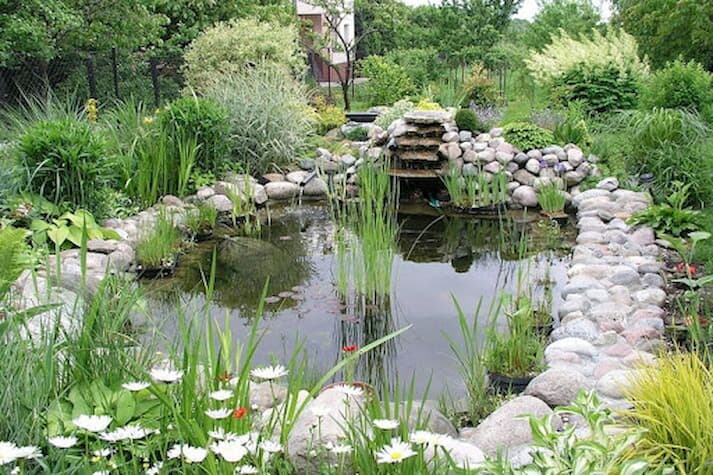 Taman Kecil dengan Kolam Ikan